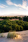 Coto Donana, la fascia di dune mobili che separa il rio Guadalquivir dal mare