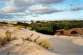 Coto Donana, la fascia di dune mobili che separa il rio Guadalquivir dal mare