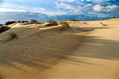 Coto Donana, la fascia di dune mobili che separa il rio Guadalquivir dal mare.