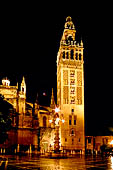 Seville, night view of the Giralda 