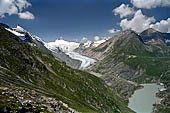 Austria Alti Tauri dal Gross Glokner al Salm Hutte, Vista del Pasterzeenkees dallo Stockerscharte. 