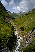 Austria Alti Tauri, escursione dal Salm Hutte a Heiligenblutt.  Il sentiero percorre il fondo della Leitertall. Il Leiter Brocke guardato verso monte 