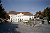Austria, Carinzia. Klagenfurth. Il Rathaus (1650) con la statua del Lundworm brunene il drago simbolo della cittÓ.