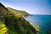 Verso Cap Corse e la Torre di l'Osse in lontananza