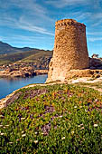 Ile Rousse - Torre Genovese A Petra 