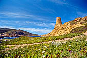 Ile Rousse - Torre Genovese A Petra