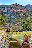I prati presso Girolata