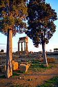 Agrigento, la valle dei templi, il tempio di Castore e Polluce 