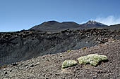 Etna - From Piccolo Rifugio to the Torre del Filosofo. The ridge of 'la Cisternazza' with the summit craters in the background. 