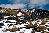 Etna, Monte Nero degli Zappini il sentiero dei carbonai 
