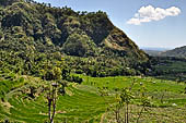 The road to Amed has spectacular scenery with views of rice paddies and plantations around Gunung Lempuyang. 