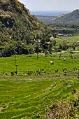 The road to Amed has spectacular scenery with views of rice paddies and plantations around Gunung Lempuyang. 