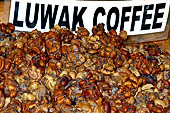 Kopi Luwak is traditionally made from the faeces of wild civets. Bali.