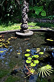 Tirtagangga, Bali - The small Saraswati pond with the stone statue of the goddess.