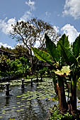 Tirtagangga, Bali - Ponds of the upper part of the garden.