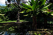 Tirtagangga, Bali - The small Saraswati pond with the stone statue of the goddess.