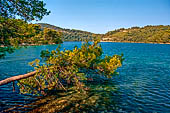 Otok Mjliet, il Parco nazionale - Malo Jezero (lago piccolo). 