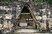 Tikal - Twin Pyramid Complex, North Enclosure. 