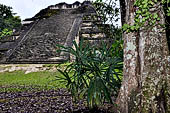 Tikal - talud-tablero pyramid (5C-49) of the 