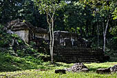 Tikal - Square of the Seven temples ruins among the tropical rainforest vegetation.
