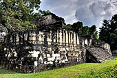 Tikal - Central Acropolis, the Great Jaguar Claw's Palace.