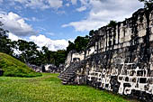 Tikal - Central Acropolis, the Great Jaguar Claw's Palace.