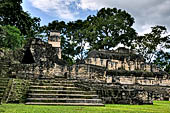 Tikal - Central Acropolis, structure 53 & 54.