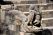Borobudur - Makara head with a lion in its mouth flanking one of the stairways leading up to the monument. 