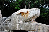 Chichen Itza - The Ball Game, serpent head of the moulding of the platforms on the sides. 