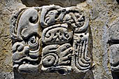Palenque - The archaeological Museum, stucco glyph of Temple XVIII. 