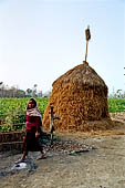 Chitwan - Village of Sauraha with the traditional country life of the Terai people.