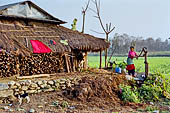 Chitwan - Village of Sauraha with the traditional country life of the Terai people.