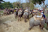 Chitwan - The elephants breeding centre.