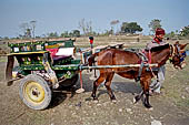 Chitwan - we reached Sauraha village on a horse cart.