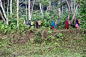 Chitwan - Women gathering wood in the forest.