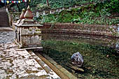 Pools surrounding the Sekh Narayan temple. Beautiful half-submerged sculpture of Surya.
