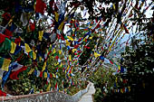 Pharping - The hill top is literally covered with thousands and thousands prayer flags. 