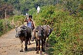 Orissa Rayagada district - Chatikona. Farmer with its buffalo.
