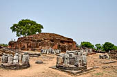 Ratnagiri - the stupa at the top of the hill, surrounded by a large number of small stupas loose on the ground. 