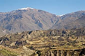 Colca canyon Peru Stock pictures