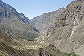 Colca Canyon Peru stock photographs