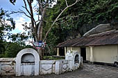 Mulkirigala cave temples - The Bo tree of the second terrace.