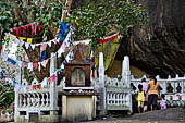 Mulkirigala cave temples - The Bo Tree at the lower terrace leading to the first two caves.