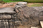 Polonnaruwa - the Citadel, the Council Chamber. Detail of the makara balustrades of the stairways. 