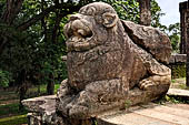 Polonnaruwa - the Citadel, the Council Chamber. Detail of the lions at the top of the stairway. 