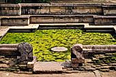 Polonnaruwa - the Citadel, the Royal Baths. 