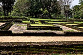 Polonnaruwa - the Citadel. 