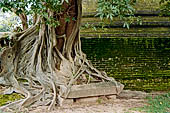 Polonnaruwa - The area of the Alahana Pirivena (Monastery of the Cremation Grounds�). Crematory Stupa.