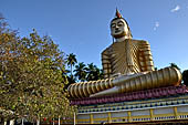 Temple at Wewurukannala (South coast) home to the largest Buddha statue on the island.