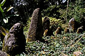 Hike up to Batutumonga north of Rantepao - menhirs on ceremonial ground. 